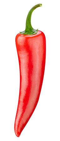 Chili  on white background. Chili  . Chili vegetableの写真素材