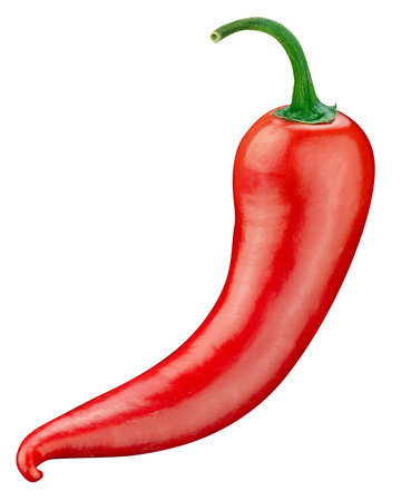Fresh chile pepper vegetable. Chile  on white background. Hot pepper   .の写真素材