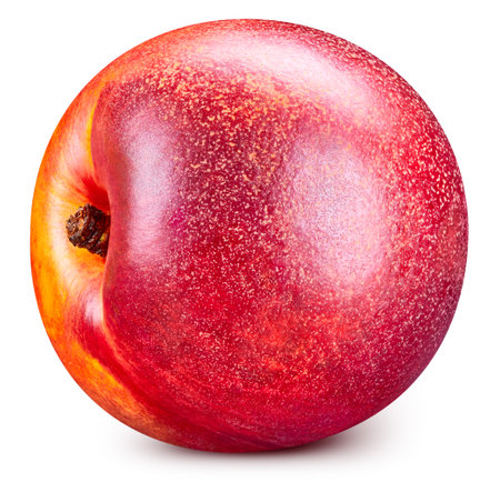 Peach fruits  on white background. Peachの写真素材