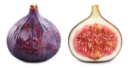 Fig  on white background. Fig macro studio photo. Figの写真素材