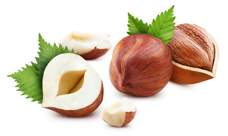 Hazelnut  on white background. Hazelnut half macro studio photo. Hazelnut  leaves.の写真素材