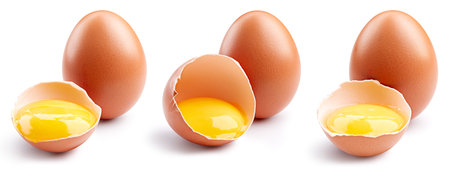 Eggs collection . Egg isolated on white background. Egg Collection. Professional studio macro shootingの写真素材