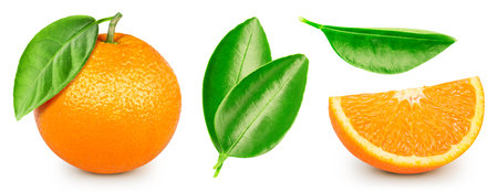 Collection orange fruit with leaves. Orange isolated on white background.の写真素材