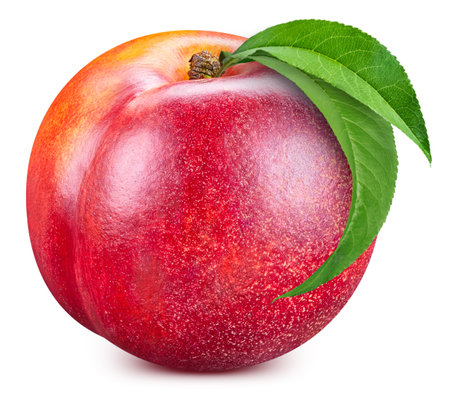 One peach with leaves. Peach isolated on white background.の写真素材
