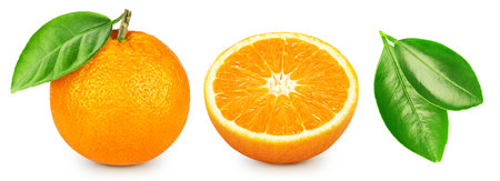 Orange collection. Orange isolated on white background. Set fresh orange fruits.の写真素材