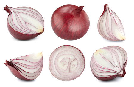 Composition of many fresh onion. Collection onion   isolated on white background. Professional studio macro shootingの写真素材