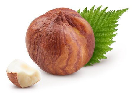 Hazelnut with leaves. Hazelnut isolated on white background. Hazelnut macroの写真素材
