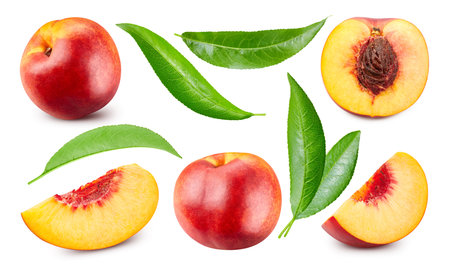 Composition of many fresh peaches. Collection peach isolated on white background. Professional studio macro shootingの写真素材