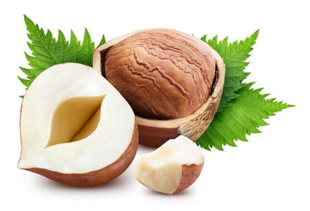 Hazelnut with leaves. Fresh organic hazelnuts isolated on white background. Hazelnut macroの写真素材