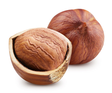 Hazelnut isolated on white background. Hazelnut half macro studio photo.の写真素材