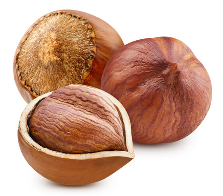 Hazelnut isolated on white background. Hazelnut citrus fruit. Hazelnut half macro studio photoの写真素材