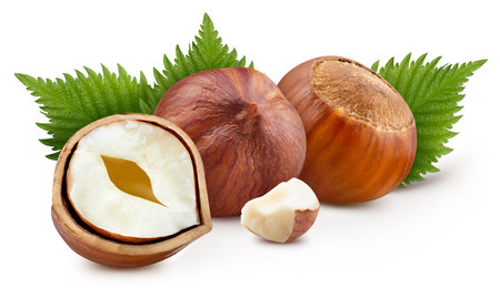 Hazelnut with leaves. Fresh organic hazelnuts isolated on white background. Hazelnut macroの写真素材