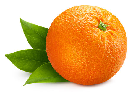 Orange fruit isolated on white background. Oneの写真素材