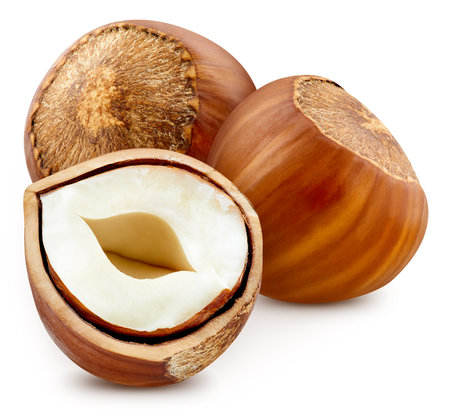 Hazelnut filbert nut isolated on white background. Three hazelnut filbertの写真素材