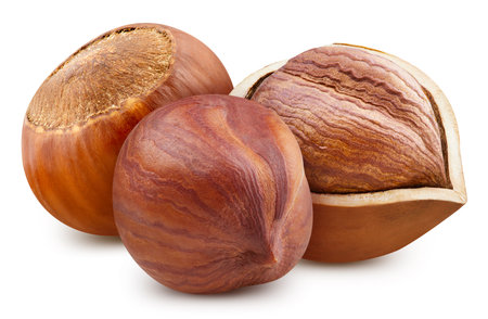 Ripe whole hazelnut and half isolated on white background.の写真素材