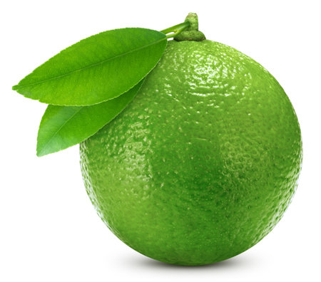 Lime fruit. Fresh organic lime fruit isolated on white background. Lime macroの写真素材