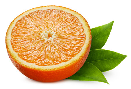 Orange fruit. Fresh organic orange fruit isolated on white background. Orange half macroの写真素材