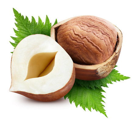 Organic hazelnuts. Hazelnuts  isolated on a white background. Fresh organic nuts.の写真素材