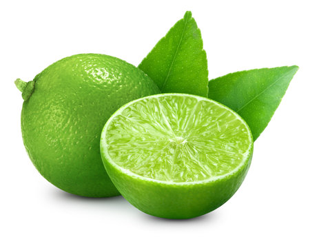 Organic lime isolated on white background. Taste lime with leaf.の写真素材