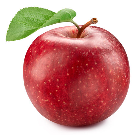 Red apple fruit. Fresh organic apple isolated on white background. Red apple macroの写真素材