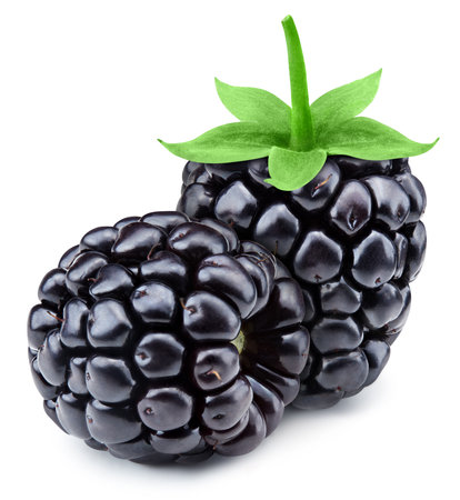 Composition of blackberries and beautiful leaves. Organic blackberries isolated on white background. Taste blackberries with leaf. Clipping pathの写真素材