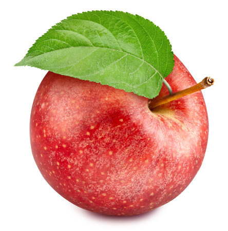 One ripe red apple with green leaf  Organic fresh apple isolated on white.の写真素材