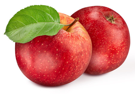 Two red apples with a beautiful green leaf. Apples isolated on white background.の写真素材