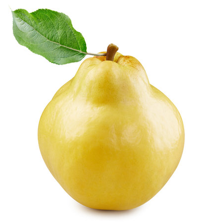 One ripe quince with green leaf. Organic fresh quince isolated on white.の写真素材