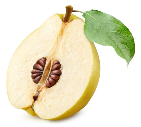 One ripe quince half with green leaf. Organic fresh quince isolated on white. Full depth of fieldの写真素材