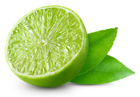 Half lime, composition decorated with green citrus leaves. Lime isolated on white background.の写真素材