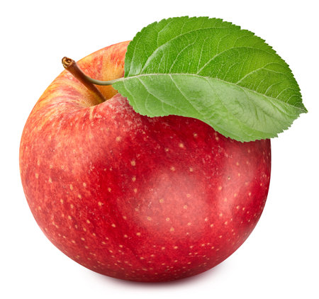 Red apple. Fresh organic red apple with leaves isolated on white background.の写真素材