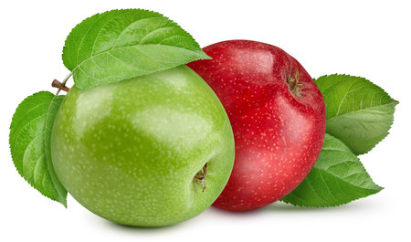 Ripe perfect apple with leaves isolated on white.の写真素材