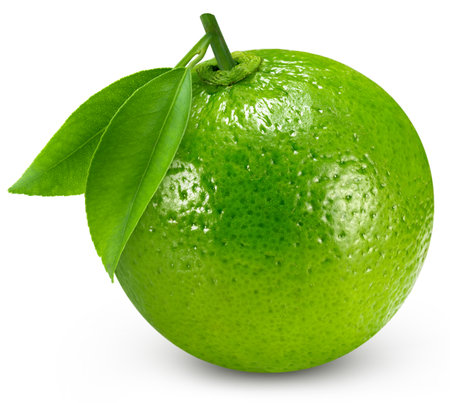 One whole lime with leaves isolated on white background, retouched for your project.の写真素材