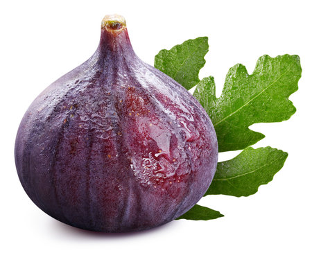 Fig isolated on white background.  Fig macro studio photoの写真素材