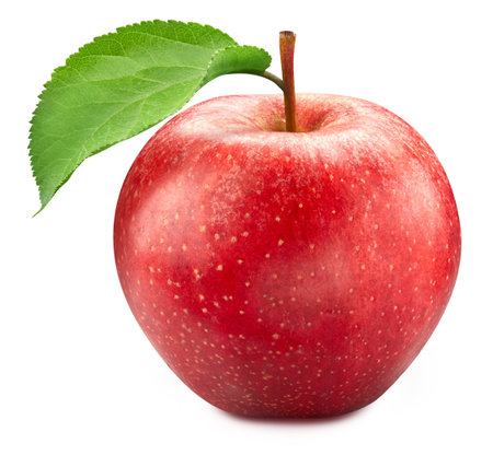 Apple. Fresh organic red apple isolated on white background. Apple macroの写真素材
