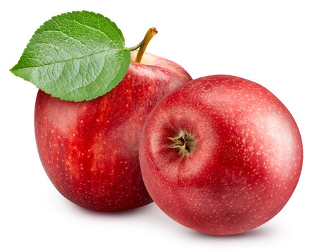 Two whole red apples with leaf. Fresh organic apple with leaves isolated on white background.の写真素材