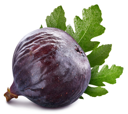Fig isolated on white background. Fig fruit . Fig macro studio photoの写真素材