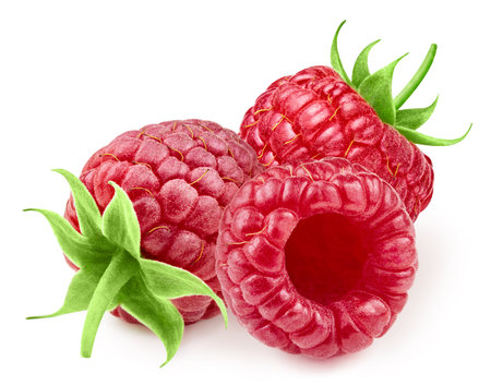 Raspberry with isolated on a white background. Fresh organic berry. Full depth of fieldの写真素材