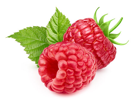 Two raspberry with leaves isolated on white background. Raspberry Professional food photographyの写真素材
