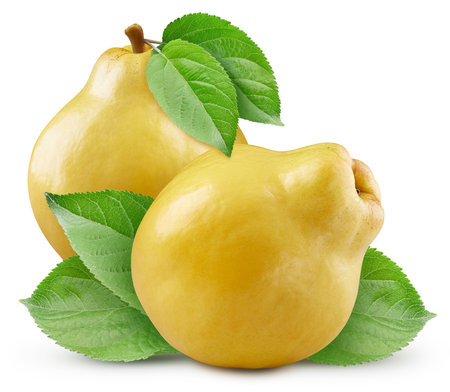Quince fruit with leaves. Quince full macro shoot food ingredient on white isolated. fig fruit. High End Retouchingの写真素材