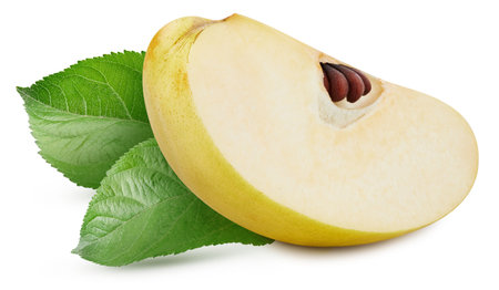 Fresh quince slice isolated on white. Full depth of field. Quince slice with leavesの写真素材
