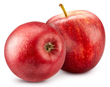 Fresh red apple isolated on white. Full depth of field. Appleの写真素材