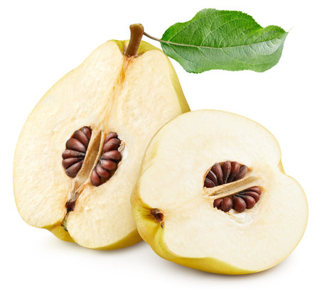 Quince half. Quince full macro shoot fruit healthy food ingredient on white isolated.の写真素材