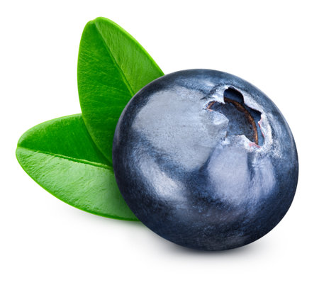 Blueberry fruit. Fresh organic blueberry with leaves isolated on white background. Blueberryの写真素材