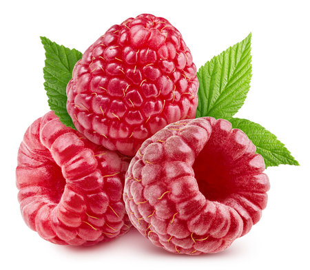 Raspberry with leaves. Ripe whole raspberry fruit isolated on white background. Raspberry fruit macro studio photoの写真素材