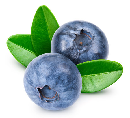 Blueberry fruit. Fresh organic blueberry with leaves isolated on white background.の写真素材