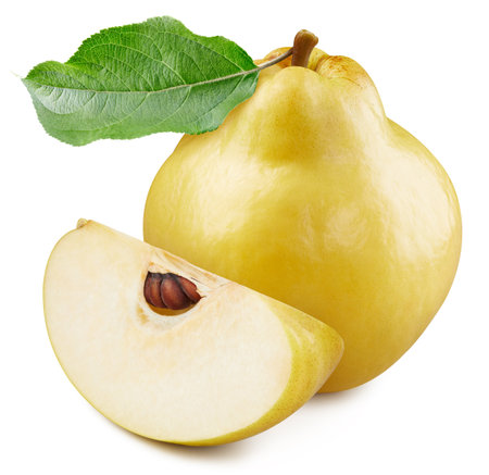 One ripe apple quince with green leaf . Organic fresh quince apple and slice isolated on white. Full depth of fieldの写真素材