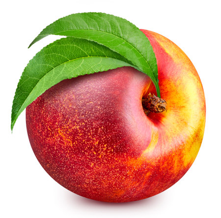 Apple isolated on white background close up. Apple Clipping Path. Professional studio photographyの写真素材