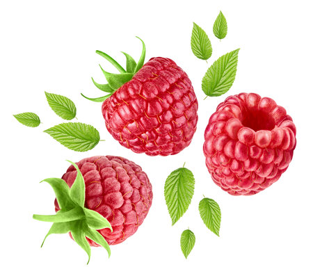 Raspberries Collection isolated on white background close up. Raspberries Clipping Path. Professional studio photographyの写真素材