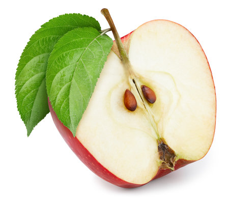 Apple half with leaves isolated on white background. Apple clipping path. Professional food photographyの写真素材